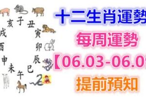 十二生肖運勢：每周運勢【06.03-06.09】提前預知！