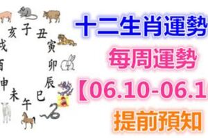 十二生肖運勢：每周運勢【06.10-06.16】提前預知！