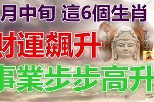 6月中旬財運飆升，這6個生肖，事業步步高升