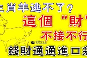 生肖羊逃不了？這個「財」不接不行，錢財通通進口袋