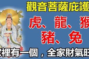 五大生肖遇觀音娘娘庇護，家裡有一個，全家財氣旺