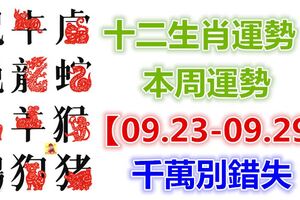 十二生肖運勢：本周運勢【09.23-09.29】千萬別錯失！