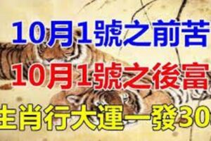 10月1號之前苦，10月1號之後富！7生肖難得大運「轉運成功」一發30年