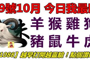 09號10月，今日我最旺！羊猴雞狗豬鼠牛虎！【91088】越早打開越靈驗！點個讚吧！