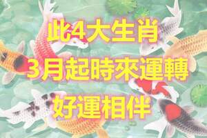 3月，時來運轉的4大生肖【豬猴馬狗】