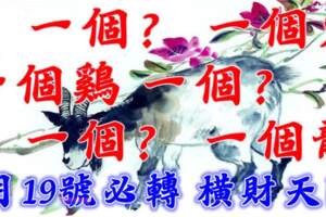 5月19號開始橫財天降，一個？，一個兔，一個雞，一個？，一個？，一個龍必須轉啊