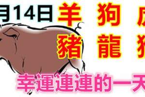 6月14號生肖運勢_羊、狗、虎大吉