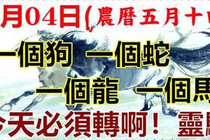 7月04日(農曆5月14)要格外留心了，一個狗，一個蛇，一個龍，一個馬！大吉大利！