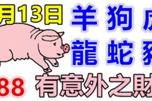 7月13日生肖運勢_羊、狗、虎大吉