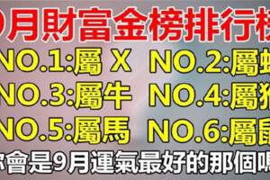 9月財富金榜排行榜的生肖