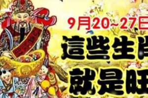 9月20~27日，這些生肖就是旺