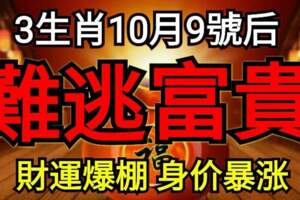 10月9號後難逃富貴，財運爆棚，身價暴漲的生肖