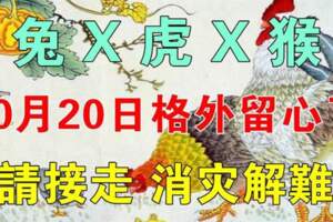 10月20日要格外留心了（兔X虎X猴）請接走，消災解難