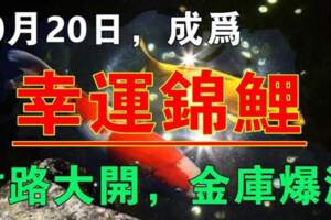 10月20日成為幸運錦鯉，金庫爆滿的生肖