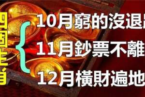 11月鈔票不離手，12月橫財遍地走的生肖