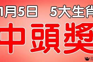 11月5日起，財運到家，五大生肖，一中就是頭獎鉅款！