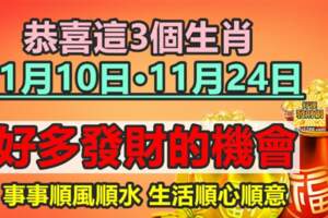 恭喜這3個生肖11月10日·11月24日好多發財的機會事事順風順水生活順心順意