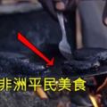 非洲平民美食「黑漢堡肉」，但你知道這是什麼做成的之後，你還敢吃嗎？