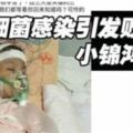 4歲小錦鴻台灣治療後不敵細菌感染引發敗血症辭世...