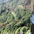 臺灣樹王30年投20億種30萬棵樹，他希望將「種樹救地球」的志業，傳承子子孫孫！