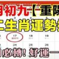 農曆九月初九重陽節，10月17號生肖運勢排名