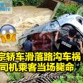 2宗轎車滑落路溝車禍司機乘客當場斃命