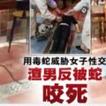 帶毒蛇威脅女子性交‧男子與蛇共浴遭咬死(內附視頻）