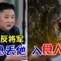 面對謀反將軍，金正恩丟他入食人魚池！靈感竟是來自007情報員電影。