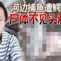 河邊捕魚遭鱷魚叼走屍體不見頭和大腿