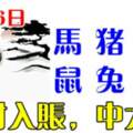 8月26日生肖運勢_馬、豬、狗大吉