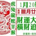 1月20號財運大翻身，橫財追著跑，再窮也能富的生肖