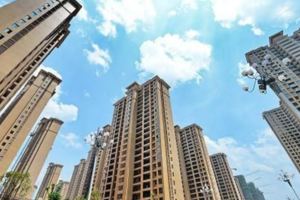年輕人難買房台大教授：犧牲建商吧