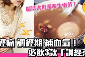 嚴浩大推調經茶！治經痛補血氣有三寶：桑寄生、四物湯、益母草