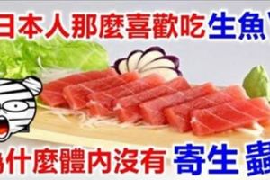 漲知識！日本人那麼喜歡吃生魚片，為什麼體內沒有寄生蟲？