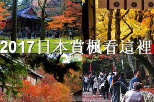 2017日本賞楓看這裡！京都紅葉景點推薦TOP10