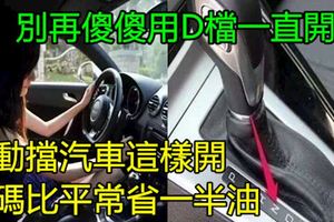 別再傻傻用D檔一直開車，自動擋汽車這樣開，起碼比平常省一半油！