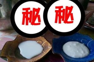 網友實測「林鳳營」和「瑞穗」鮮乳常溫下連放五天會怎樣，結果令人氣到發抖...