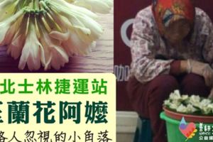 台北士林玉蘭花阿嬤半夜12點還「不敢回家」，她說出原因後令人超心疼！