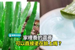 家裡養的蘆薈可以直接塗在臉上嗎？蘆薈膠是什麼做的？