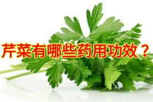 芹菜有哪些藥用功效？