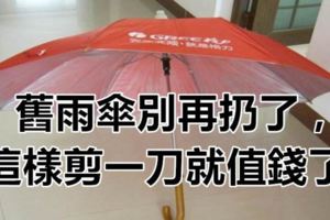 舊雨傘別再扔了，這樣剪一刀就值錢了！變廢為寶太實用了！