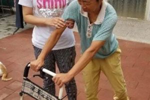 媽媽腦血栓爸爸腦梗塞「95後」北京女孩抗住壓力成了家裡頂樑柱