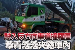 駛入反方向車道撞羅釐華青活活夾斃車內