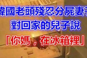 韓國老頭殘忍分屍妻子，對回家的兒子說：「你媽，在冰箱裡...」