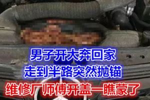 男子開大奔回家，走到半路突然拋錨，維修廠師傅開蓋一瞧蒙了