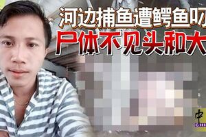 河邊捕魚遭鱷魚叼走屍體不見頭和大腿