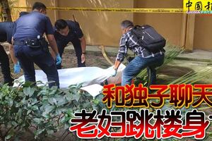 和獨子聊天後老婦跳樓身亡