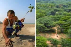 住的土地將消失！印度男每日手植「堅持40年」　一片黃土因為他「變550公頃綠林」