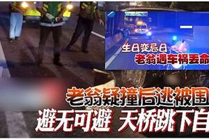 老翁疑撞後逃被圍堵避無可避天橋跳下自盡