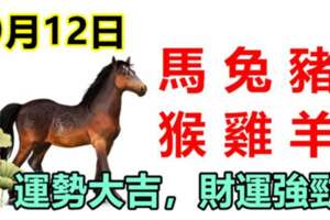 9月12日生肖運勢_馬、兔、豬大吉